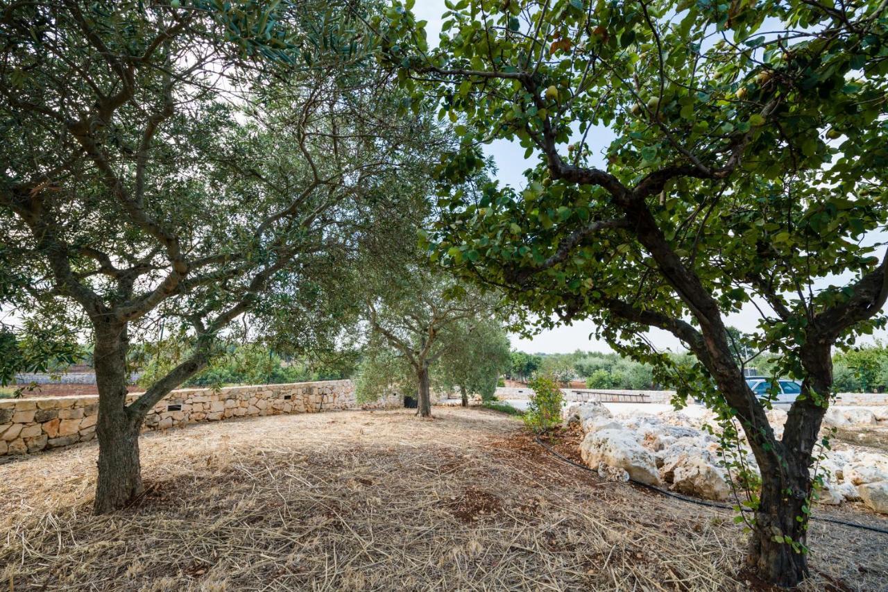 Masseria Mezza Ruota Alberobello Bagian luar foto