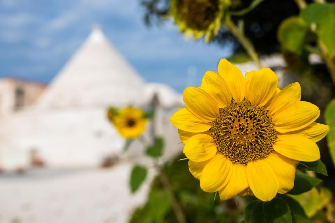 Masseria Mezza Ruota Alberobello Bagian luar foto